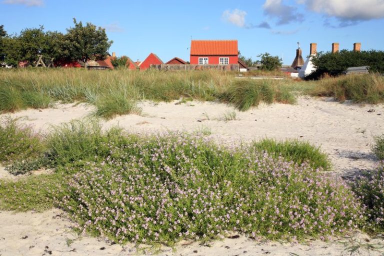 Strandschätze in Dänemark finden